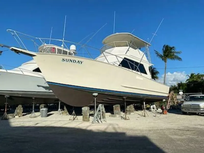 Slide: The Image of Breaux Brothers Sprotfish 1989 - 5670452