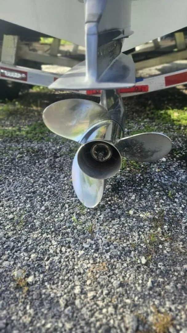 Slide: The Image of Everglades 23 2014 - 5646590