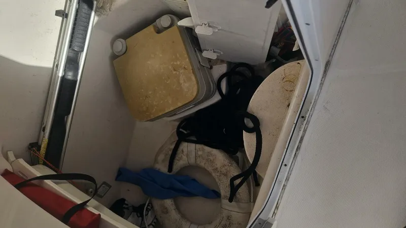 Slide: The Image of Everglades 23 2014 - 5646622