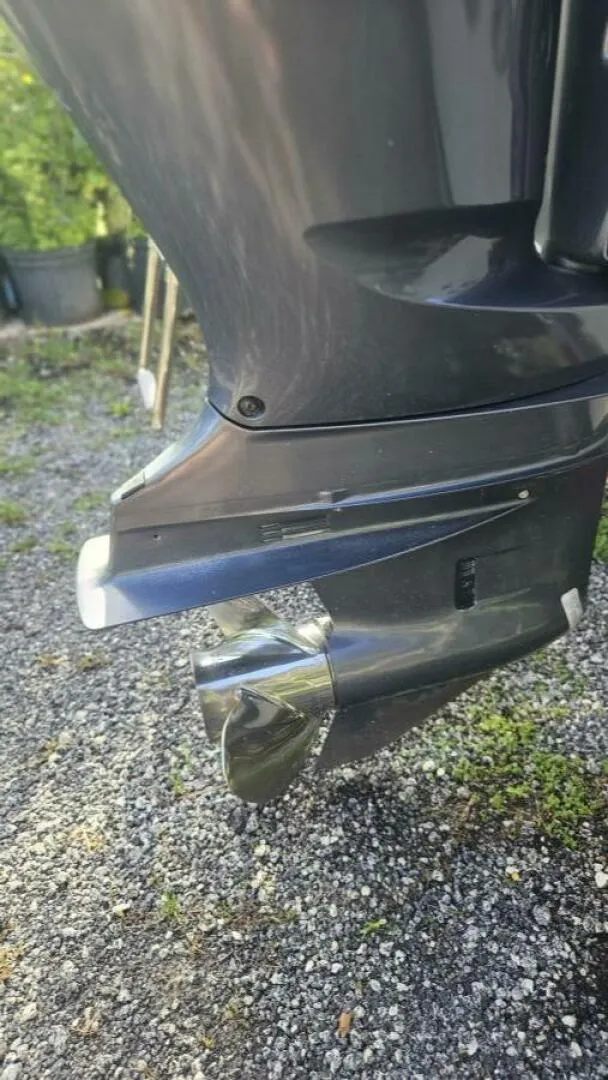 Slide: The Image of Everglades 23 2014 - 5646591