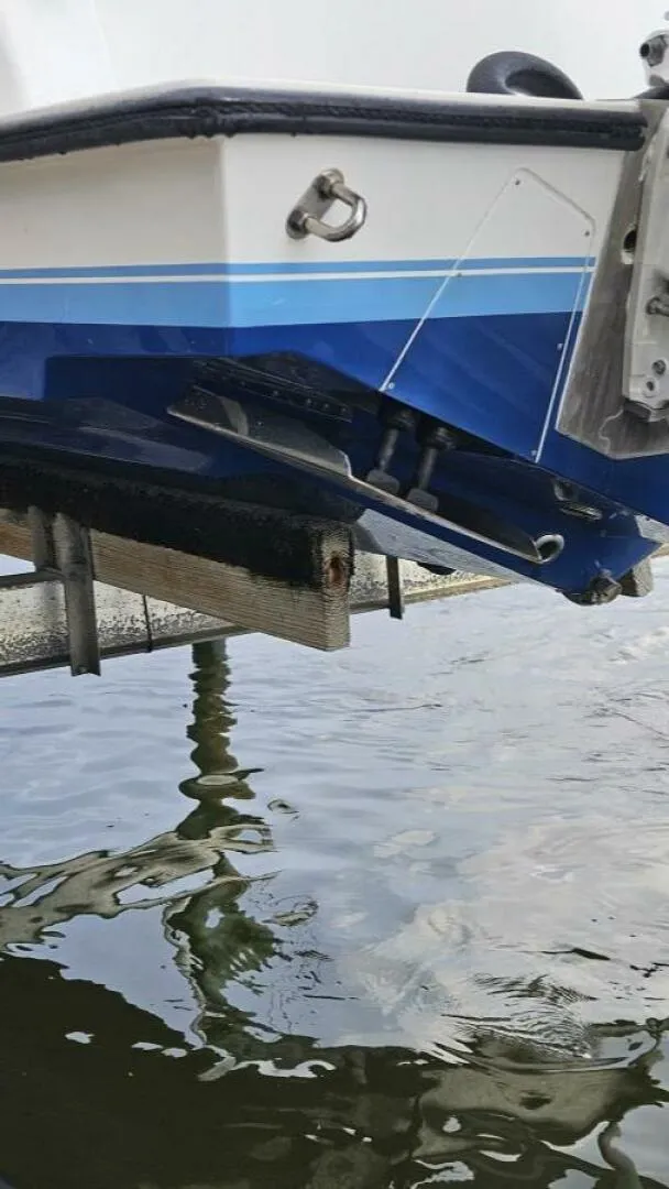 Slide: The Image of Contender Boats Inc 31 2002 - 5660827