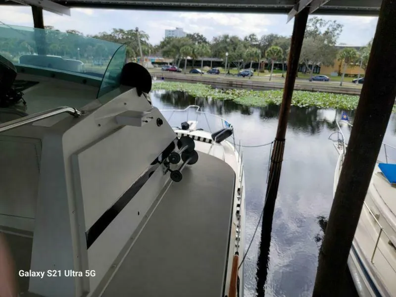 Slide: The Image of Bertram 46 1979 - 5646662