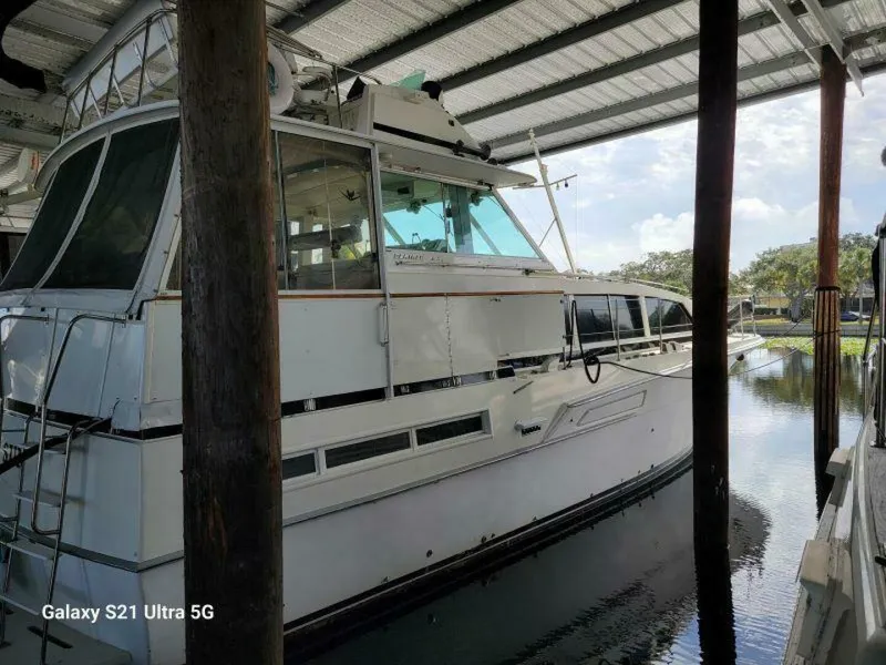 Slide: The Image of Bertram 46 1979 - 5646645