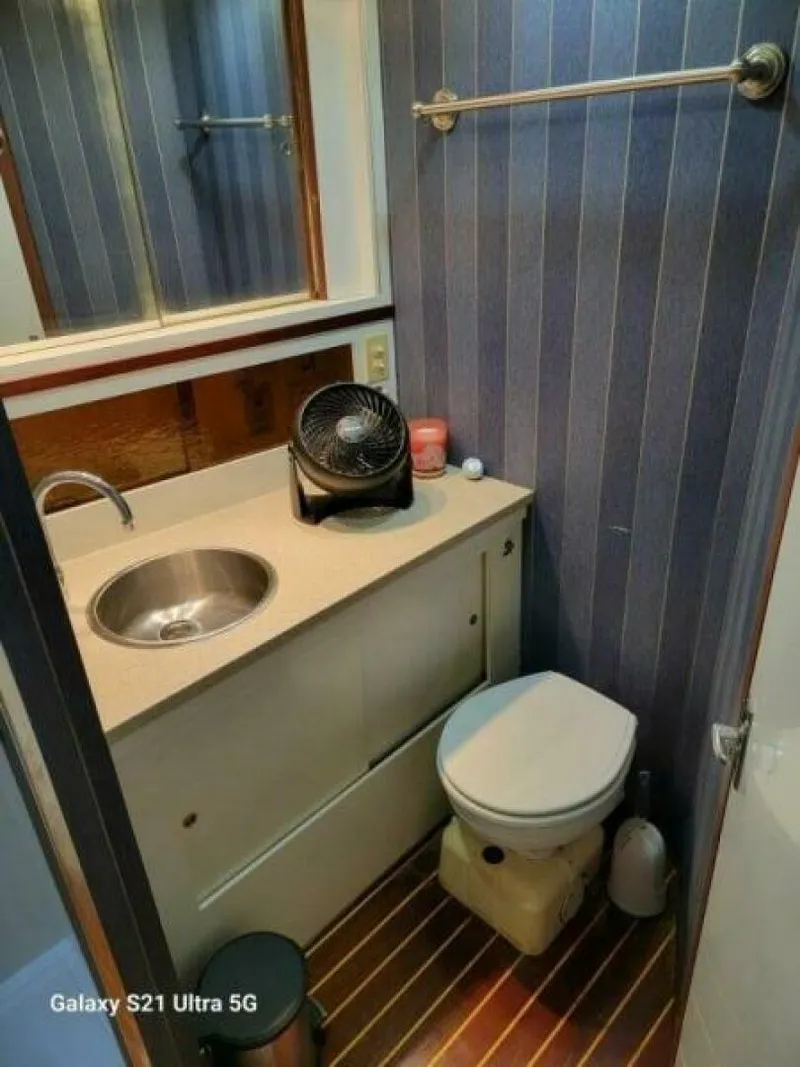 Slide: The Image of Bertram 46 1979 - 5646692