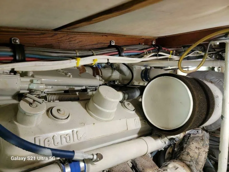 Slide: The Image of Bertram 46 1979 - 5646711