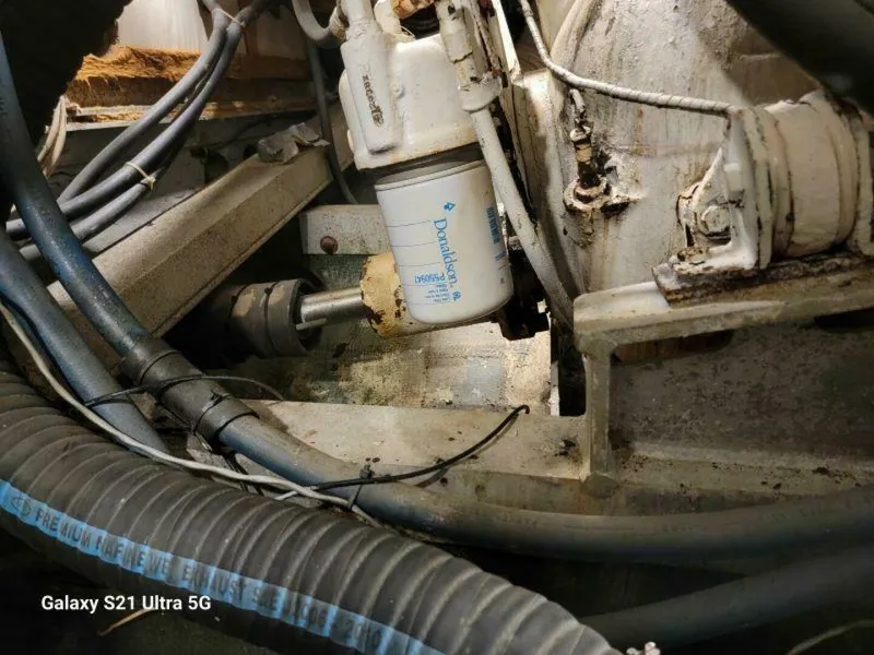 Slide: The Image of Bertram 46 1979 - 5646714