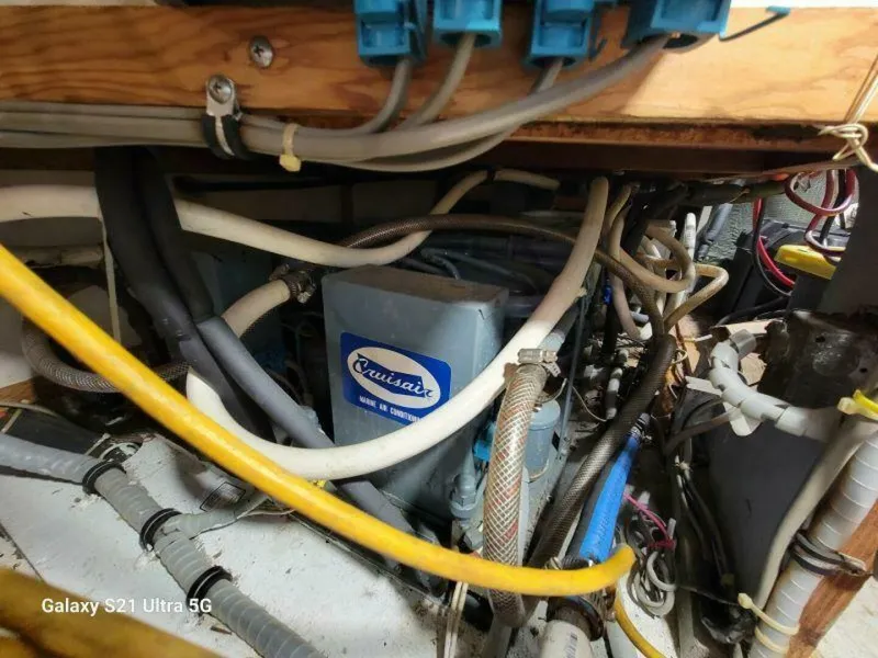 Slide: The Image of Bertram 46 1979 - 5646723