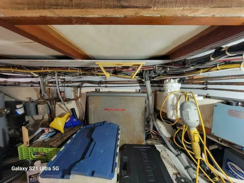 Slide: The Image of Bertram 46 1979 - 5646729