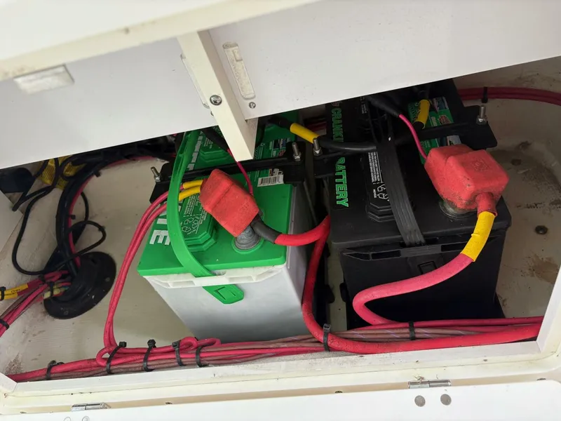 Slide: The Image of Cobia 240 CC 2019 - 5647113