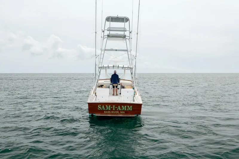 Slide: The Image of Stolper 38 Express 2004 - 5647760