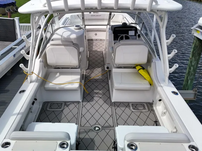 Slide: The Image of World Cat 296DC 2024 - 5649162