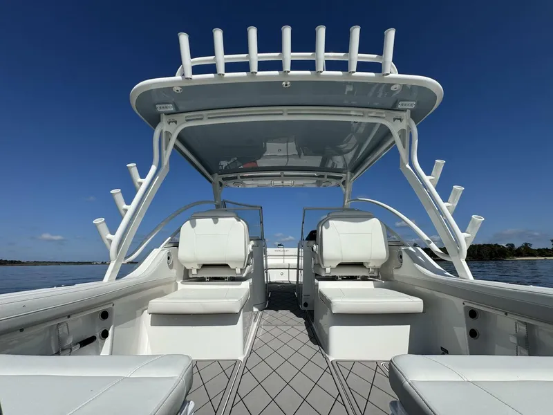 Slide: The Image of World Cat 296DC 2024 - 5703405