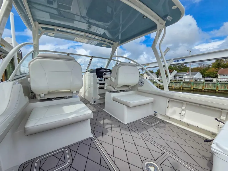 Slide: The Image of World Cat 296DC 2024 - 5649163