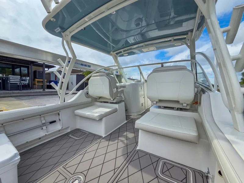 Slide: The Image of World Cat 296DC 2024 - 5649164