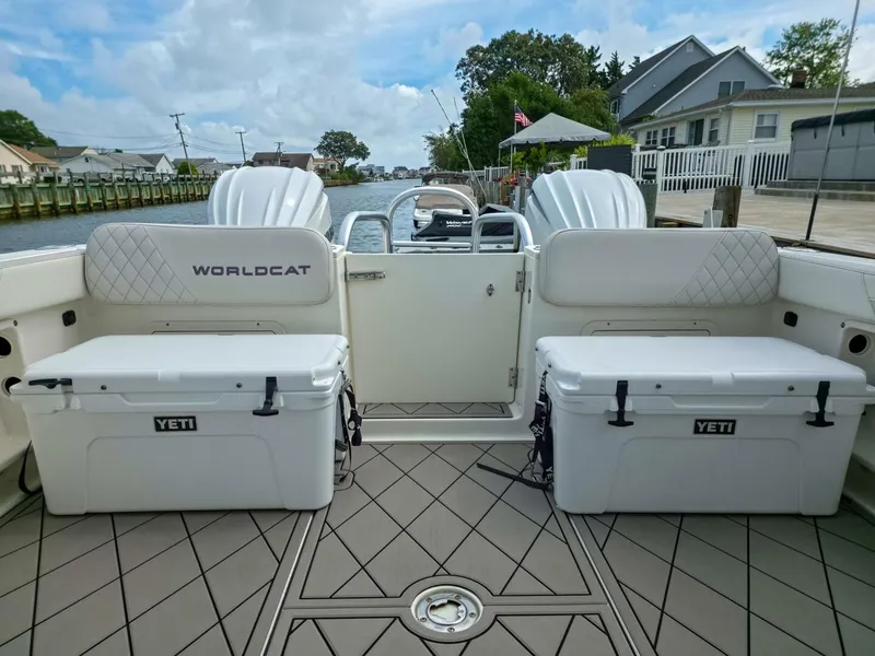 Slide: The Image of World Cat 296DC 2024 - 5649165