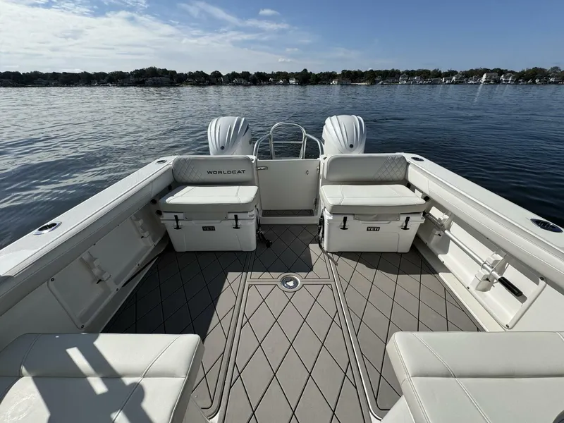 Slide: The Image of World Cat 296DC 2024 - 5703401