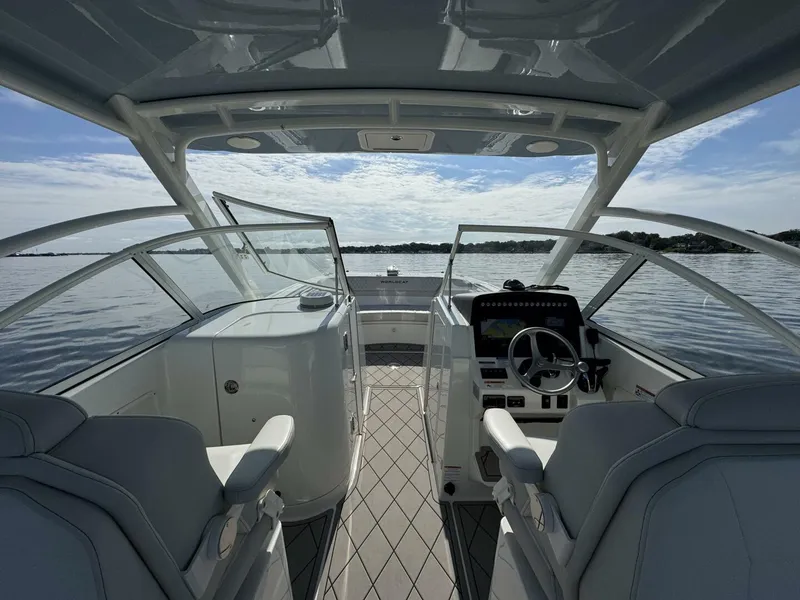 Slide: The Image of World Cat 296DC 2024 - 5703396