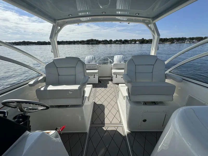 Slide: The Image of World Cat 296DC 2024 - 5703402