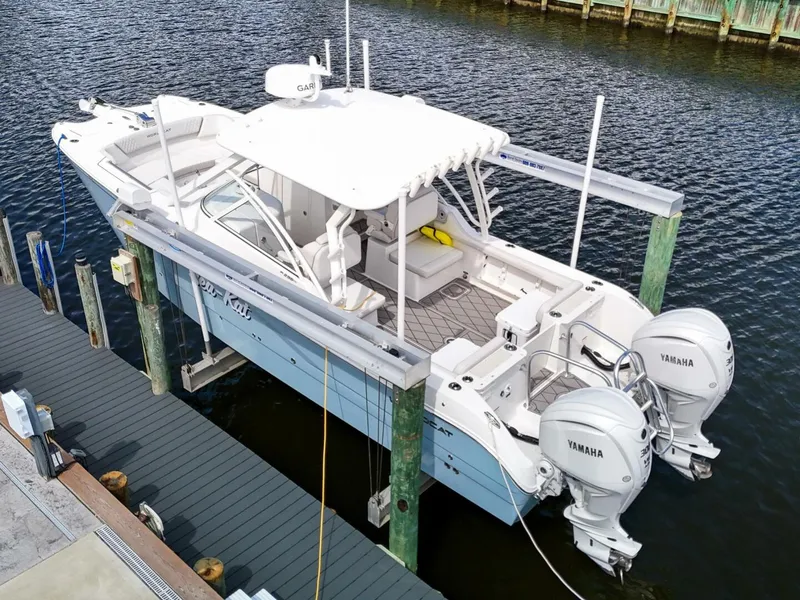 Slide: The Image of World Cat 296DC 2024 - 5649154