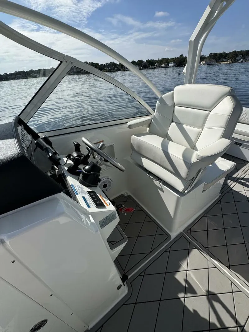 Slide: The Image of World Cat 296DC 2024 - 5703400