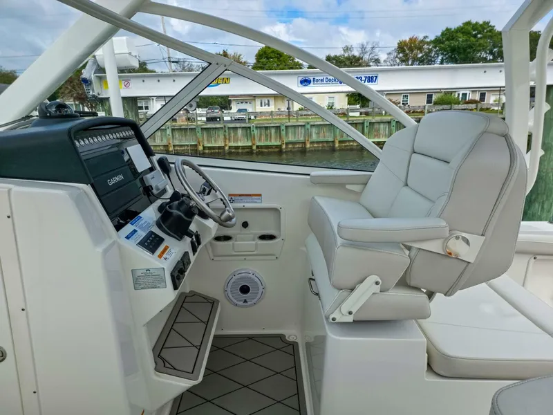 Slide: The Image of World Cat 296DC 2024 - 5649166