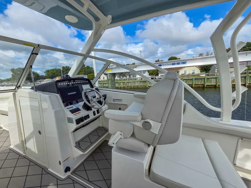 Slide: The Image of World Cat 296DC 2024 - 5649169