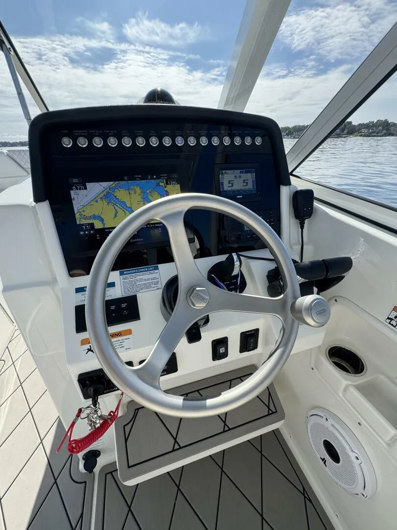 Slide: The Image of World Cat 296DC 2024 - 5703398