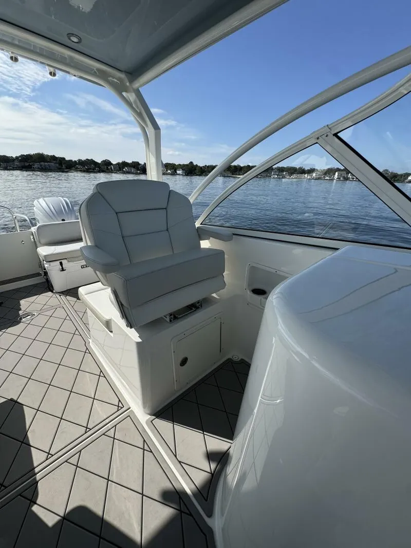 Slide: The Image of World Cat 296DC 2024 - 5703403