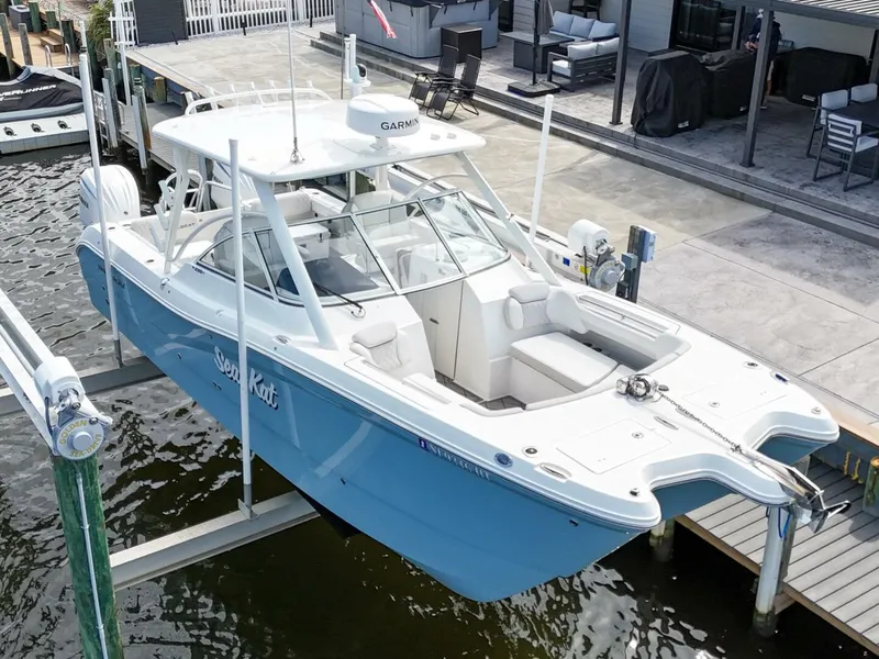 Slide: The Image of World Cat 296DC 2024 - 5649155