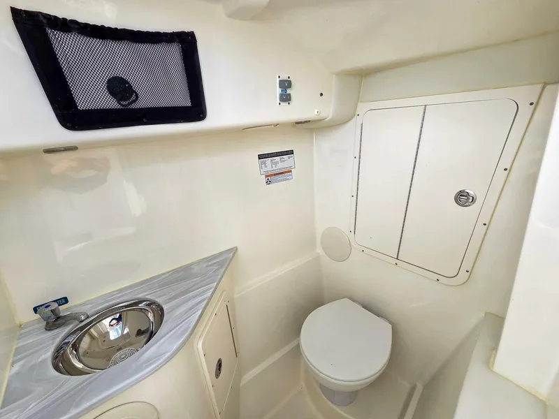 Slide: The Image of World Cat 296DC 2024 - 5649170