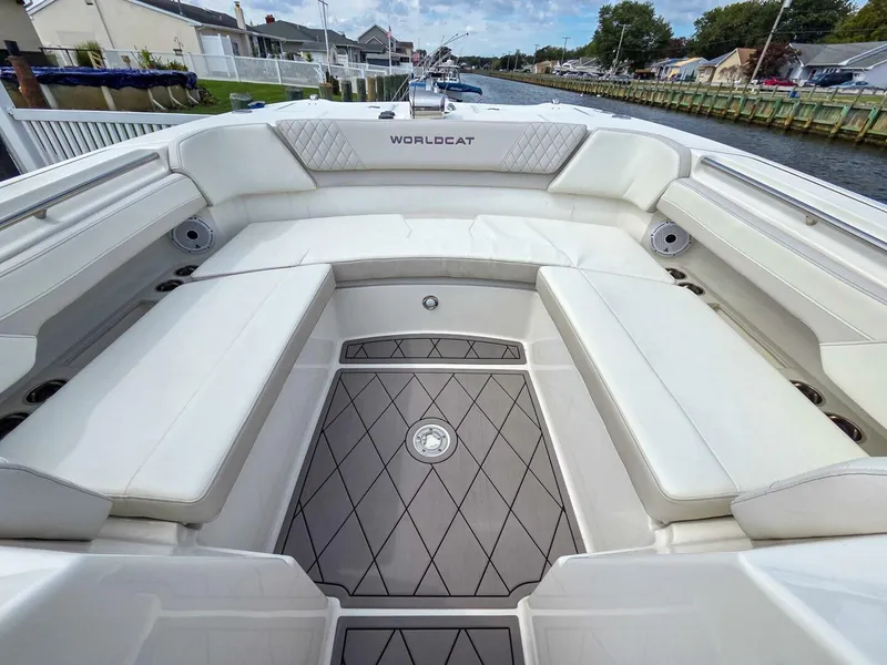 Slide: The Image of World Cat 296DC 2024 - 5649172