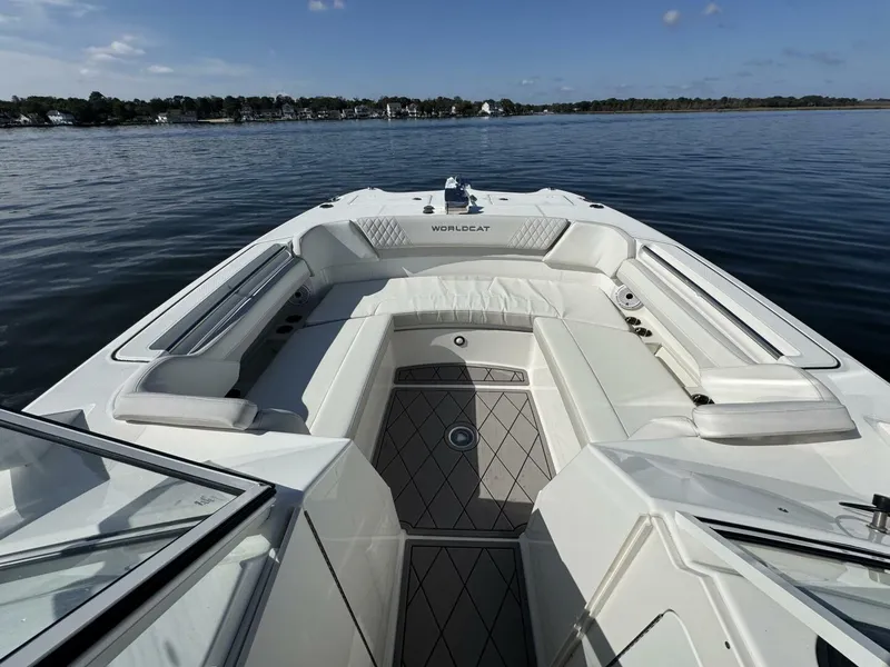 Slide: The Image of World Cat 296DC 2024 - 5703393