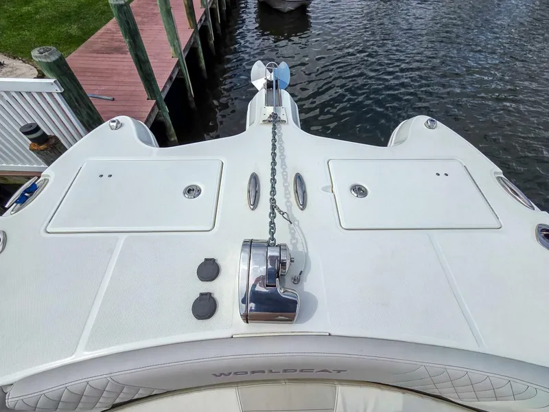 Slide: The Image of World Cat 296DC 2024 - 5649173