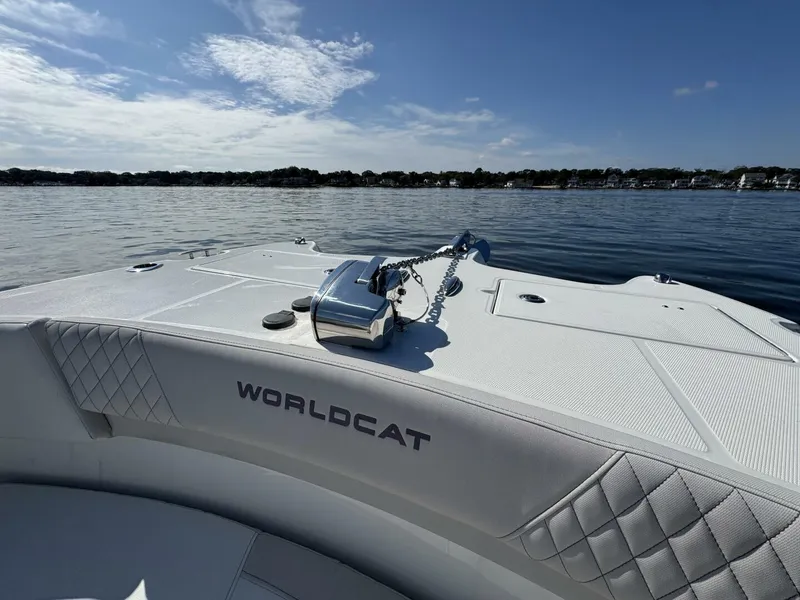 Slide: The Image of World Cat 296DC 2024 - 5703394