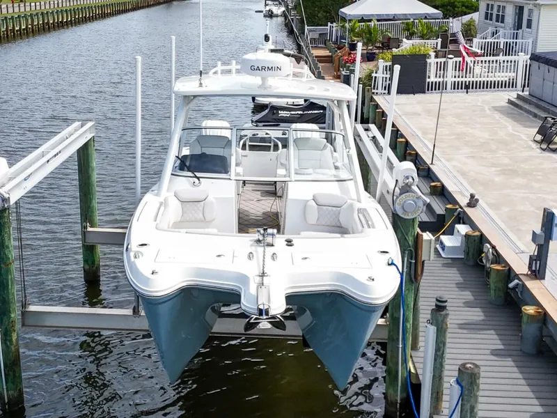 Slide: The Image of World Cat 296DC 2024 - 5649156