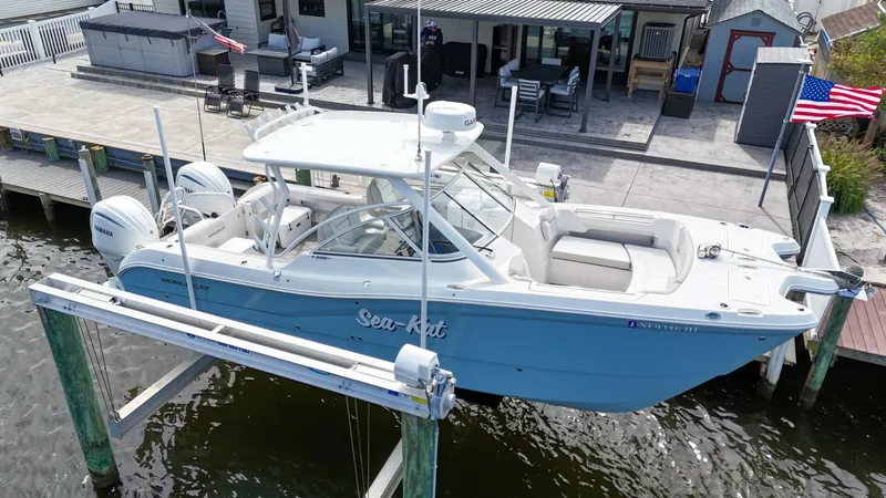 Slide: The Image of World Cat 296DC 2024 - 5649157