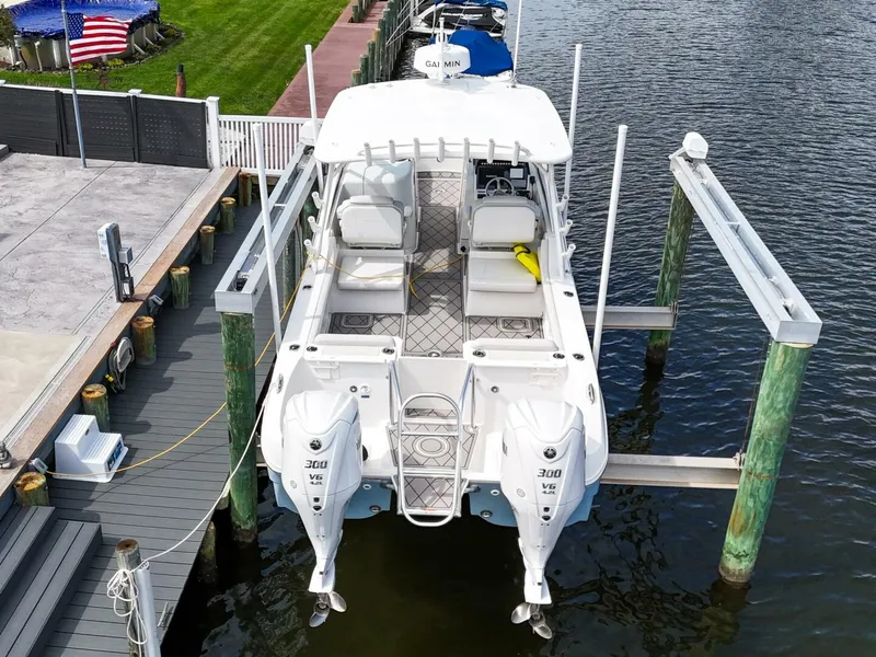 Slide: The Image of World Cat 296DC 2024 - 5649158