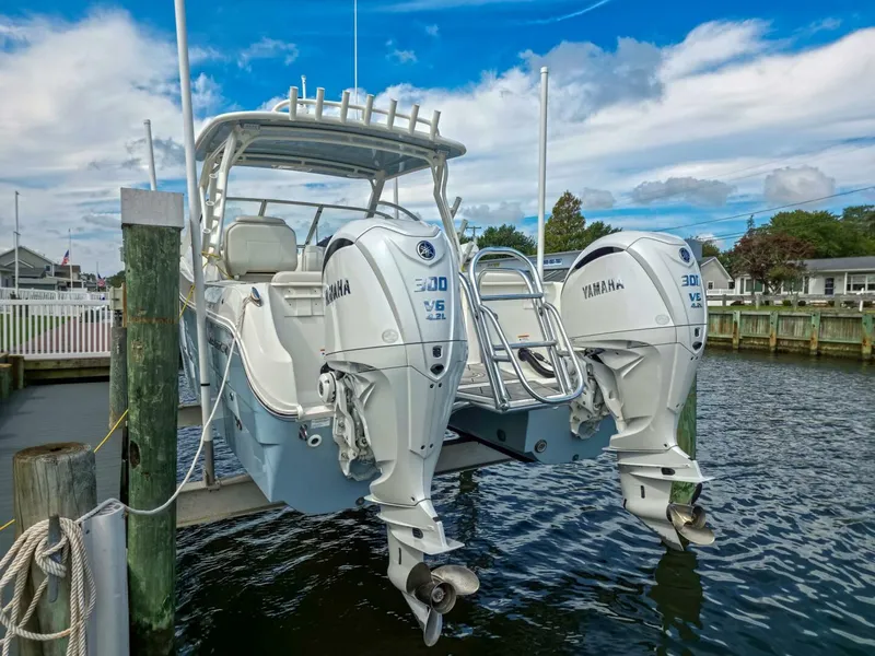 Slide: The Image of World Cat 296DC 2024 - 5649159