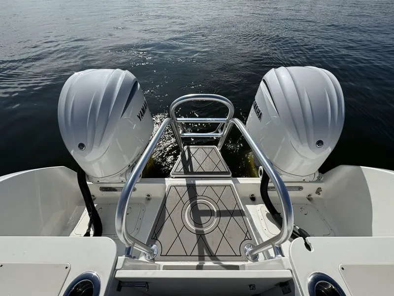 Slide: The Image of World Cat 296DC 2024 - 5703406