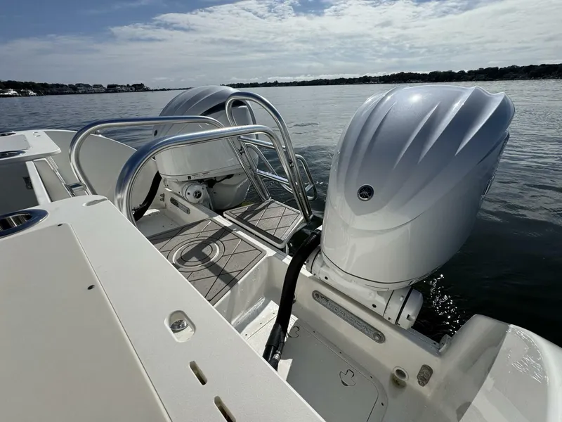 Slide: The Image of World Cat 296DC 2024 - 5703407