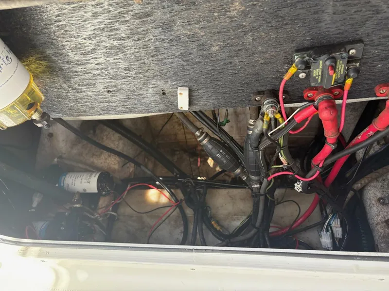 Slide: The Image of Sailfish 236 CC 2007 - 5649701