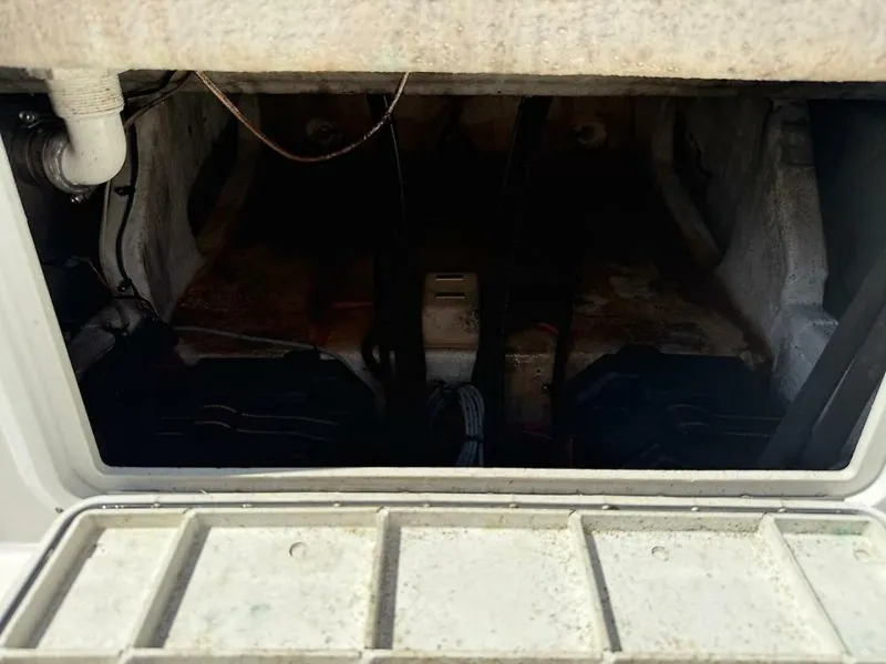 Slide: The Image of 0005380110 - 5649832