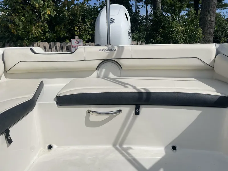 Slide: The Image of Stingray 191 DC 2023 - 5651564