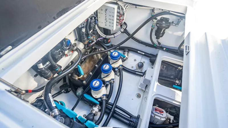 Slide: The Image of Yellowfin Offshore 2023 - 5661347