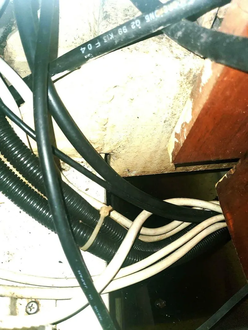 Slide: The Image of MAST STEP - 5968243