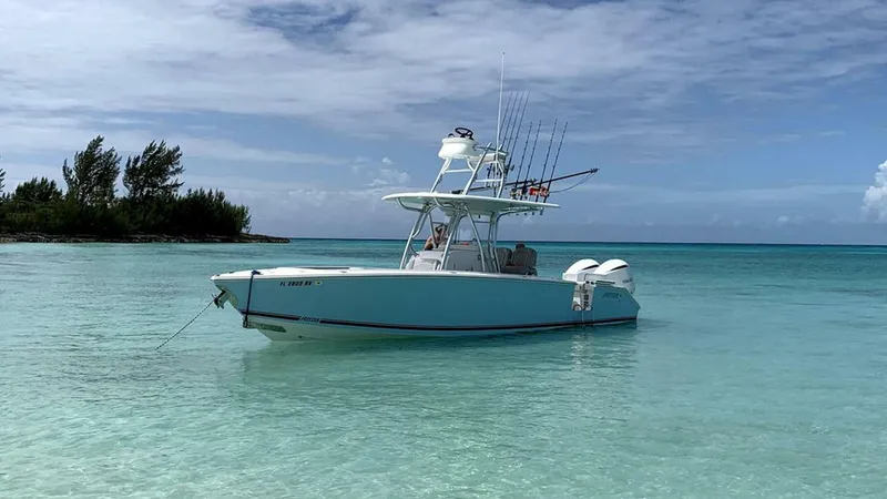 The Image of Jupiter HFS 2019 - 5670013