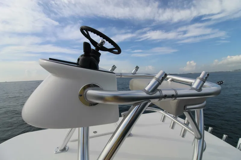 Slide: The Image of Jupiter HFS 2019 - 5670034