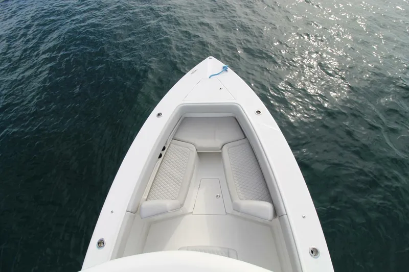 Slide: The Image of Jupiter HFS 2019 - 5670037