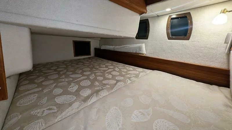 Slide: The Image of Cutwater R-29 S LE 2017 - 5665889