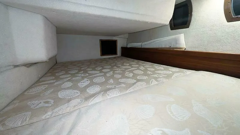 Slide: The Image of Cutwater R-29 S LE 2017 - 5665893